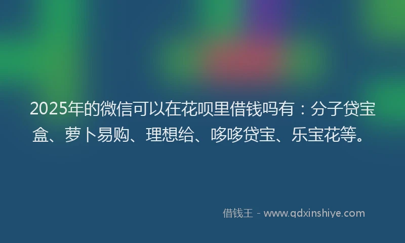 2025年的微信可以在花呗里借钱吗有：分子贷宝盒、萝卜易购、理想给、哆哆贷宝、乐宝花等。