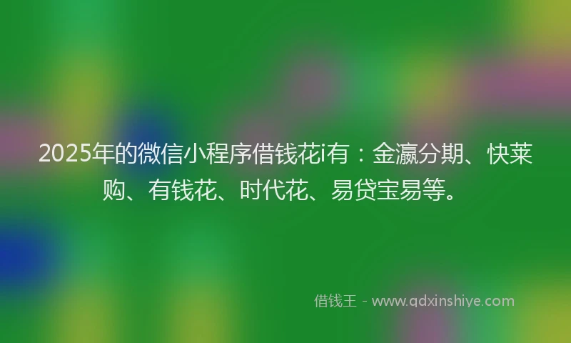 2025年的微信小程序借钱花i有：金瀛分期、快莱购、有钱花、时代花、易贷宝易等。