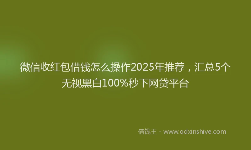 微信收红包借钱怎么操作2025年推荐，汇总5个无视黑白100%秒下网贷平台