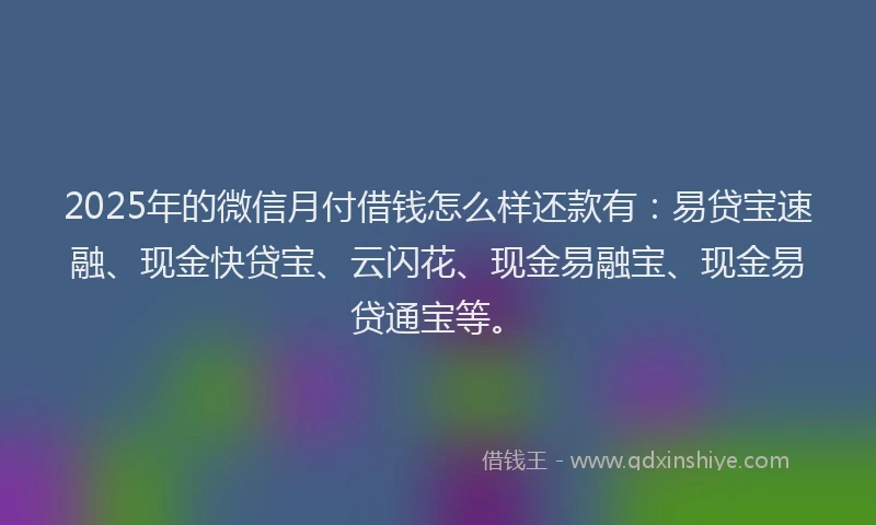 2025年的微信月付借钱怎么样还款有：易贷宝速融、现金快贷宝、云闪花、现金易融宝、现金易贷通宝等。