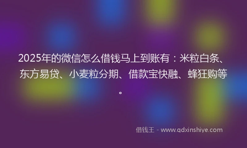 2025年的微信怎么借钱马上到账有：米粒白条、东方易贷、小麦粒分期、借款宝快融、蜂狂购等。
