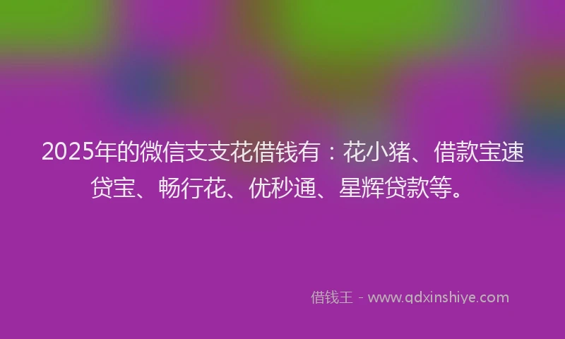 2025年的微信支支花借钱有：花小猪、借款宝速贷宝、畅行花、优秒通、星辉贷款等。