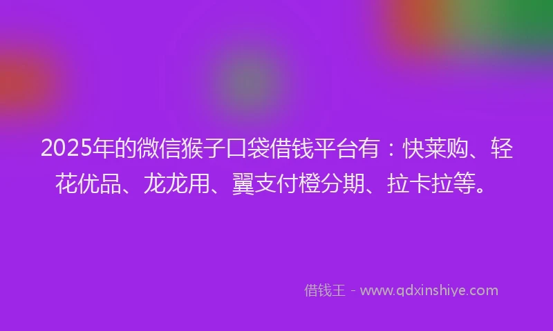 2025年的微信猴子口袋借钱平台有：快莱购、轻花优品、龙龙用、翼支付橙分期、拉卡拉等。