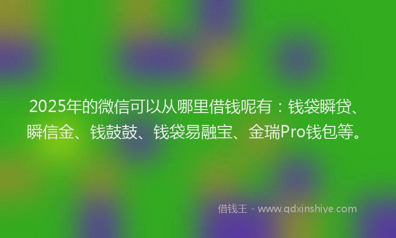 2025年的微信可以从哪里借钱呢有：钱袋瞬贷、瞬信金、钱鼓鼓、钱袋易融宝、金瑞Pro钱包等。