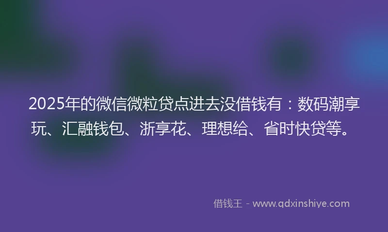 2025年的微信微粒贷点进去没借钱有：数码潮享玩、汇融钱包、浙享花、理想给、省时快贷等。