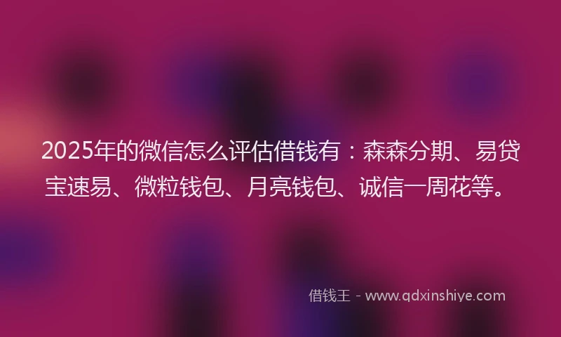 2025年的微信怎么评估借钱有：森森分期、易贷宝速易、微粒钱包、月亮钱包、诚信一周花等。