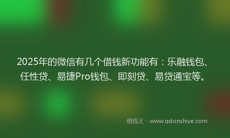 2025年的微信有几个借钱新功能有：乐融钱包、任性贷、易捷Pro钱包、即刻贷、易贷通宝等。
