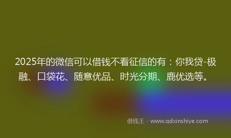 2025年的微信可以借钱不看征信的有：你我贷-极融、口袋花、随意优品、时光分期、鹿优选等。