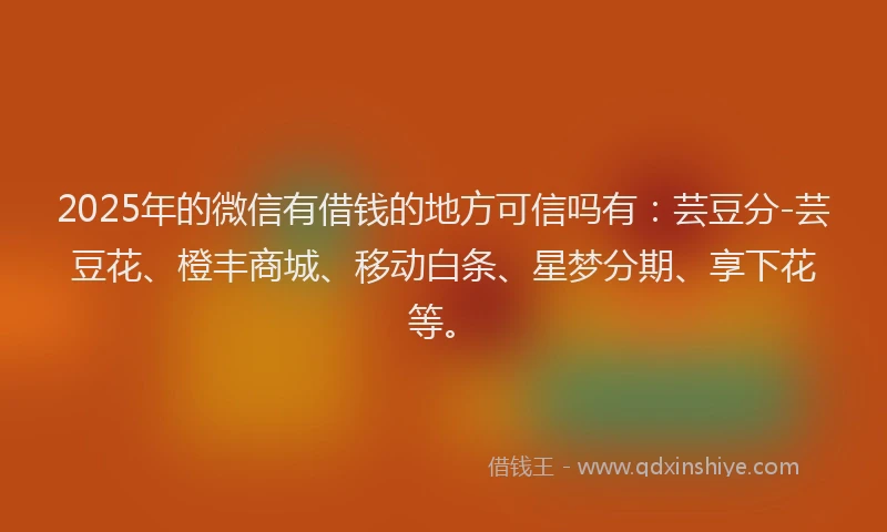 2025年的微信有借钱的地方可信吗有：芸豆分-芸豆花、橙丰商城、移动白条、星梦分期、享下花等。