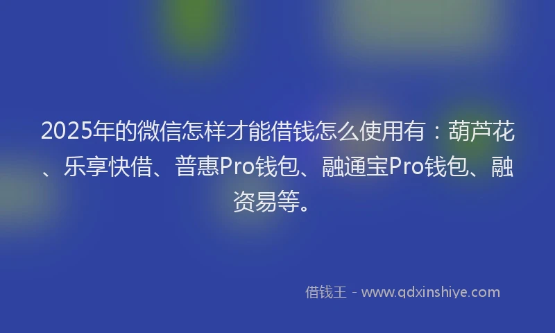 2025年的微信怎样才能借钱怎么使用有：葫芦花、乐享快借、普惠Pro钱包、融通宝Pro钱包、融资易等。
