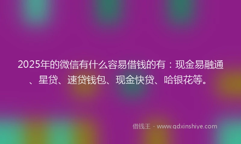 2025年的微信有什么容易借钱的有：现金易融通、星贷、速贷钱包、现金快贷、哈银花等。