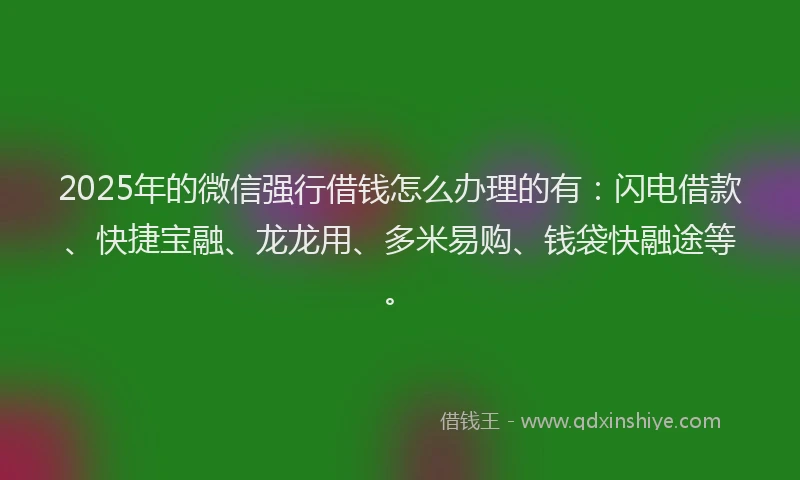 2025年的微信强行借钱怎么办理的有：闪电借款、快捷宝融、龙龙用、多米易购、钱袋快融途等。