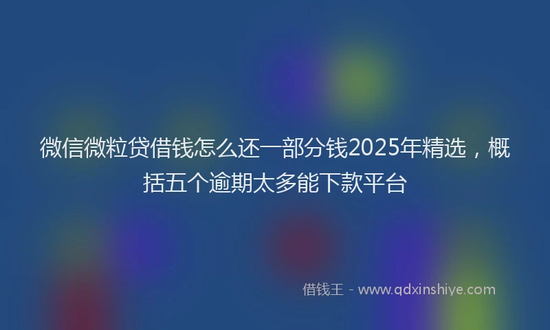 微信微粒贷借钱怎么还一部分钱2025年精选，概括五个逾期太多能下款平台