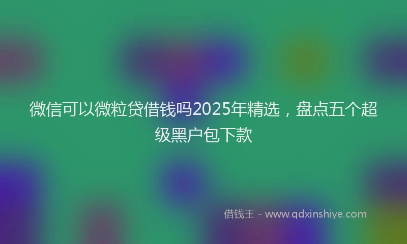 微信可以微粒贷借钱吗2025年精选，盘点五个超级黑户包下款
