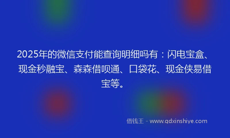 2025年的微信支付能查询明细吗有：闪电宝盒、现金秒融宝、森森借呗通、口袋花、现金侠易借宝等。