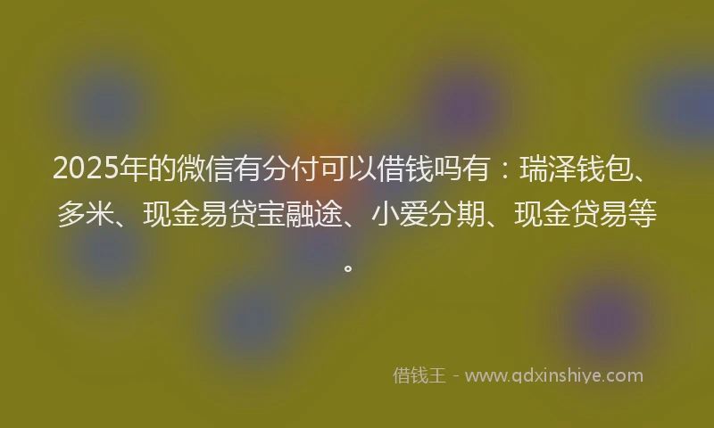 2025年的微信有分付可以借钱吗有：瑞泽钱包、多米、现金易贷宝融途、小爱分期、现金贷易等。