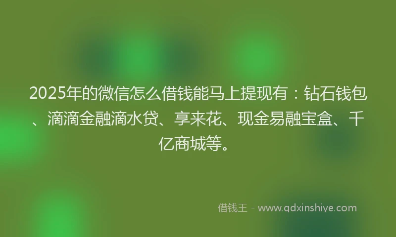 2025年的微信怎么借钱能马上提现有：钻石钱包、滴滴金融滴水贷、享来花、现金易融宝盒、千亿商城等。