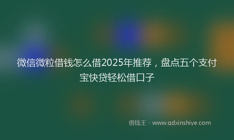 微信微粒借钱怎么借2025年推荐，盘点五个支付宝快贷轻松借口子
