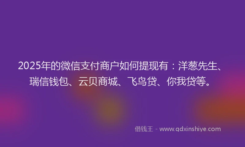 2025年的微信支付商户如何提现有：洋葱先生、瑞信钱包、云贝商城、飞鸟贷、你我贷等。