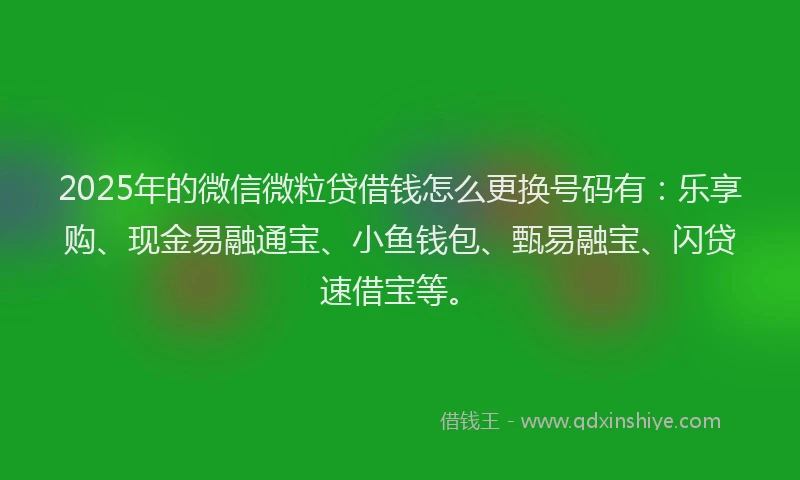 2025年的微信微粒贷借钱怎么更换号码有：乐享购、现金易融通宝、小鱼钱包、甄易融宝、闪贷速借宝等。