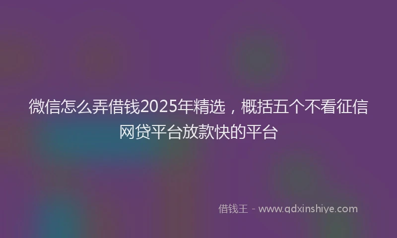 微信怎么弄借钱2025年精选，概括五个不看征信网贷平台放款快的平台
