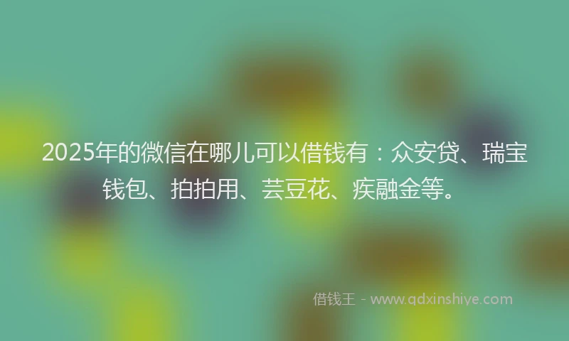 2025年的微信在哪儿可以借钱有：众安贷、瑞宝钱包、拍拍用、芸豆花、疾融金等。