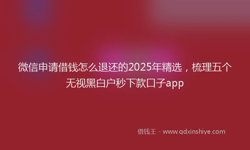 微信申请借钱怎么退还的2025年精选，梳理五个无视黑白户秒下款口子app