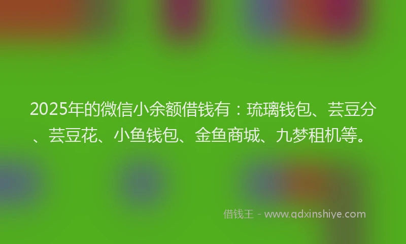 2025年的微信小余额借钱有：琉璃钱包、芸豆分、芸豆花、小鱼钱包、金鱼商城、九梦租机等。