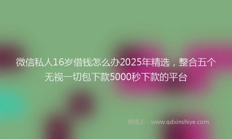 微信私人16岁借钱怎么办2025年精选，整合五个无视一切包下款5000秒下款的平台