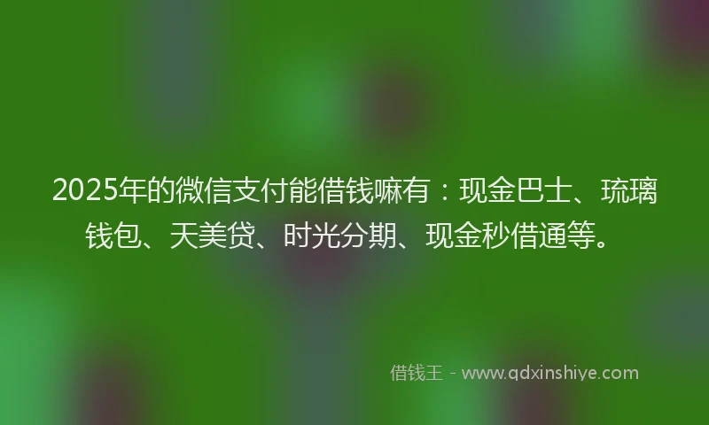 2025年的微信支付能借钱嘛有：现金巴士、琉璃钱包、天美贷、时光分期、现金秒借通等。
