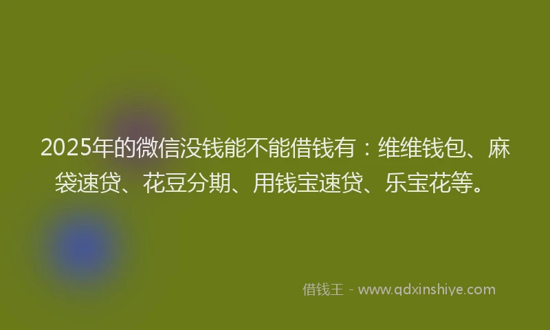 2025年的微信没钱能不能借钱有：维维钱包、麻袋速贷、花豆分期、用钱宝速贷、乐宝花等。