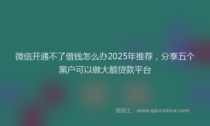 微信开通不了借钱怎么办2025年推荐，分享五个黑户可以做大额贷款平台