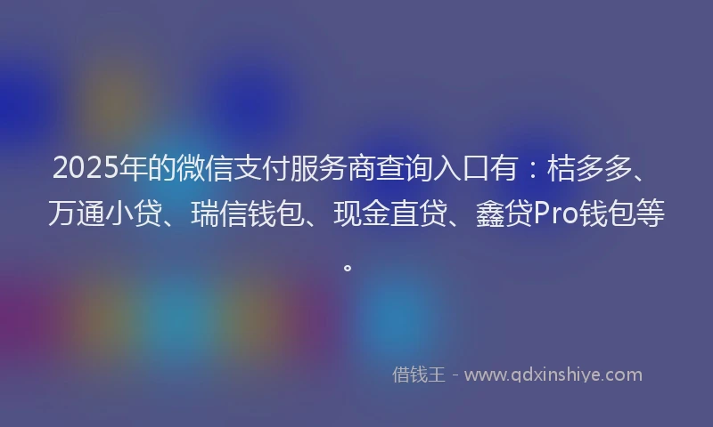 2025年的微信支付服务商查询入口有：桔多多、万通小贷、瑞信钱包、现金直贷、鑫贷Pro钱包等。