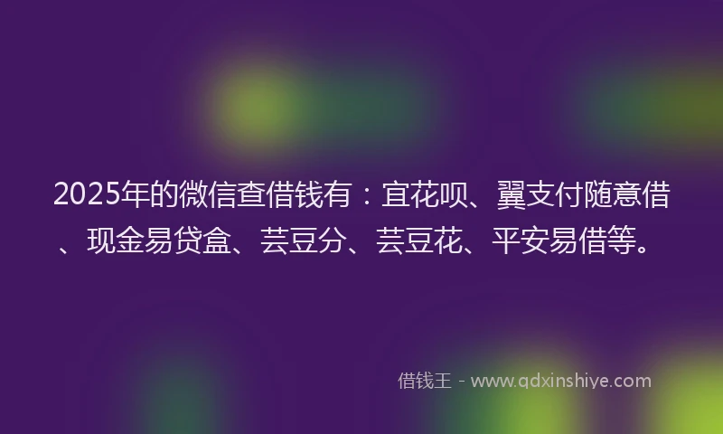 2025年的微信查借钱有：宜花呗、翼支付随意借、现金易贷盒、芸豆分、芸豆花、平安易借等。