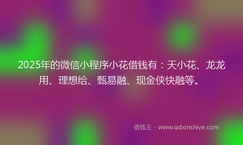 2025年的微信小程序小花借钱有：天小花、龙龙用、理想给、甄易融、现金侠快融等。