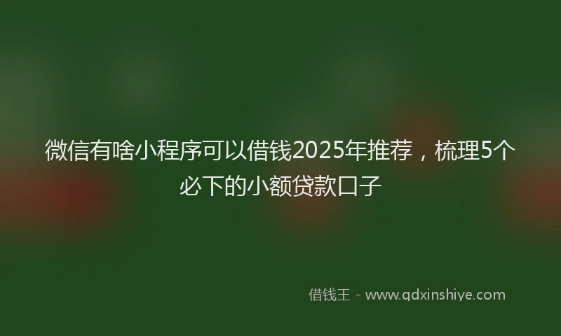 微信有啥小程序可以借钱2025年推荐，梳理5个必下的小额贷款口子