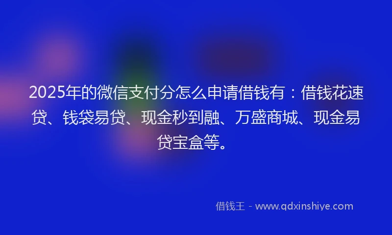2025年的微信支付分怎么申请借钱有：借钱花速贷、钱袋易贷、现金秒到融、万盛商城、现金易贷宝盒等。