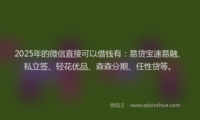 2025年的微信直接可以借钱有：易贷宝速易融、私立签、轻花优品、森森分期、任性贷等。