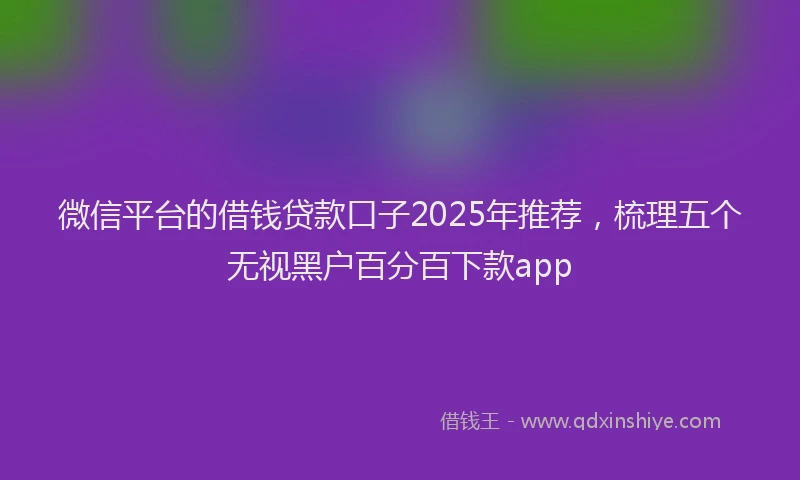 微信平台的借钱贷款口子2025年推荐，梳理五个无视黑户百分百下款app