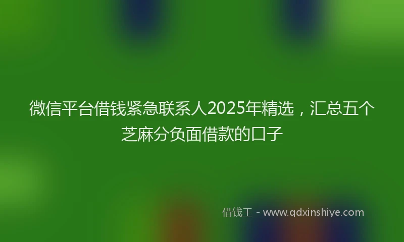 微信平台借钱紧急联系人2025年精选，汇总五个芝麻分负面借款的口子
