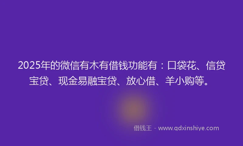 2025年的微信有木有借钱功能有：口袋花、信贷宝贷、现金易融宝贷、放心借、羊小购等。