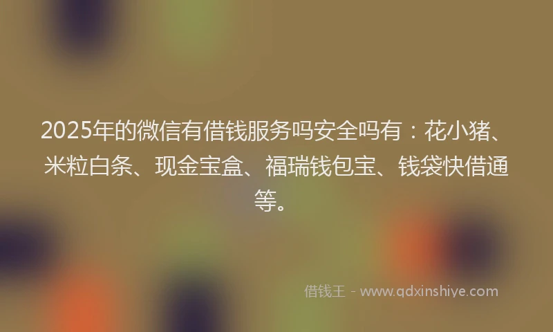 2025年的微信有借钱服务吗安全吗有：花小猪、米粒白条、现金宝盒、福瑞钱包宝、钱袋快借通等。