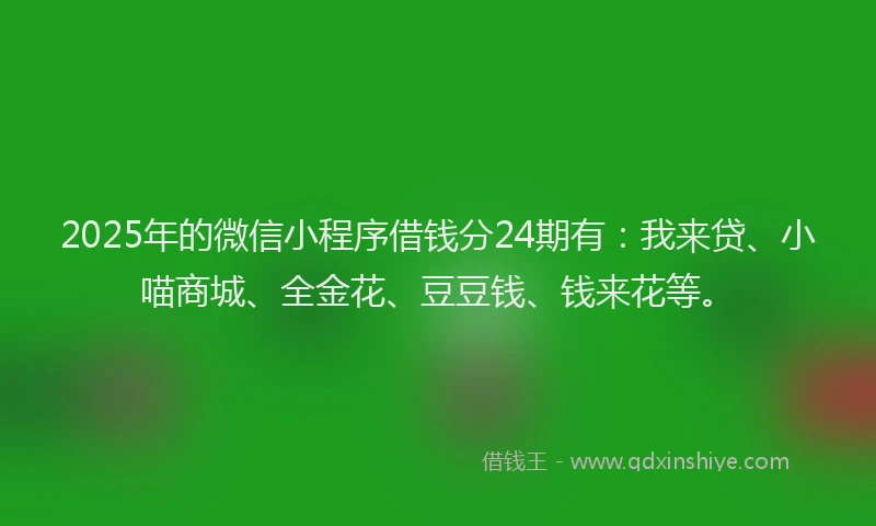 2025年的微信小程序借钱分24期有：我来贷、小喵商城、全金花、豆豆钱、钱来花等。