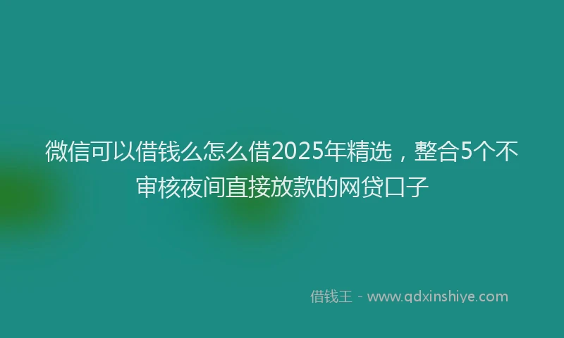 微信可以借钱么怎么借2025年精选，整合5个不审核夜间直接放款的网贷口子