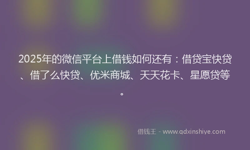 2025年的微信平台上借钱如何还有：借贷宝快贷、借了么快贷、优米商城、天天花卡、星愿贷等。