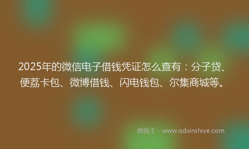 2025年的微信电子借钱凭证怎么查有：分子贷、便荔卡包、微博借钱、闪电钱包、尔集商城等。