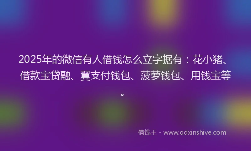 2025年的微信有人借钱怎么立字据有：花小猪、借款宝贷融、翼支付钱包、菠萝钱包、用钱宝等。