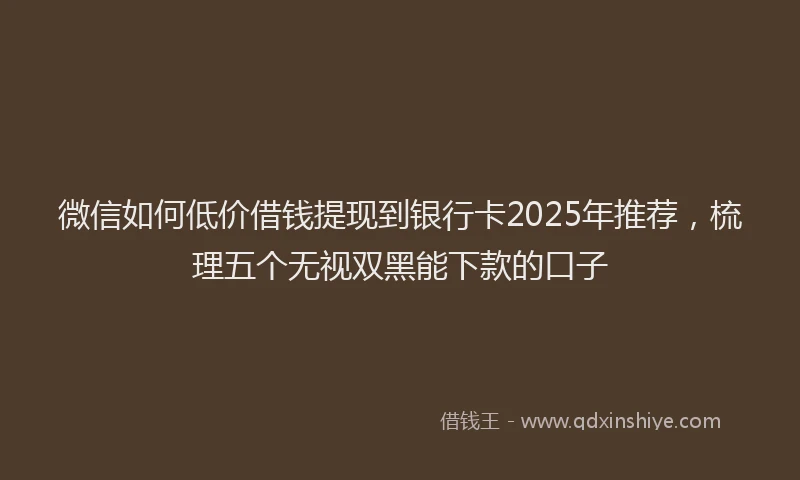 微信如何低价借钱提现到银行卡2025年推荐，梳理五个无视双黑能下款的口子