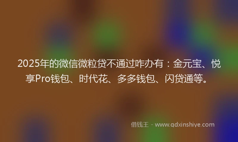 2025年的微信微粒贷不通过咋办有：金元宝、悦享Pro钱包、时代花、多多钱包、闪贷通等。