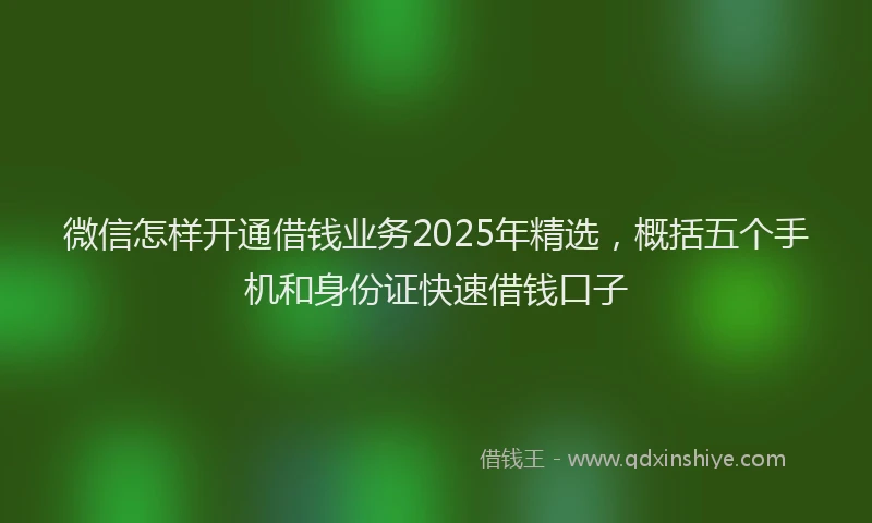 微信怎样开通借钱业务2025年精选，概括五个手机和身份证快速借钱口子